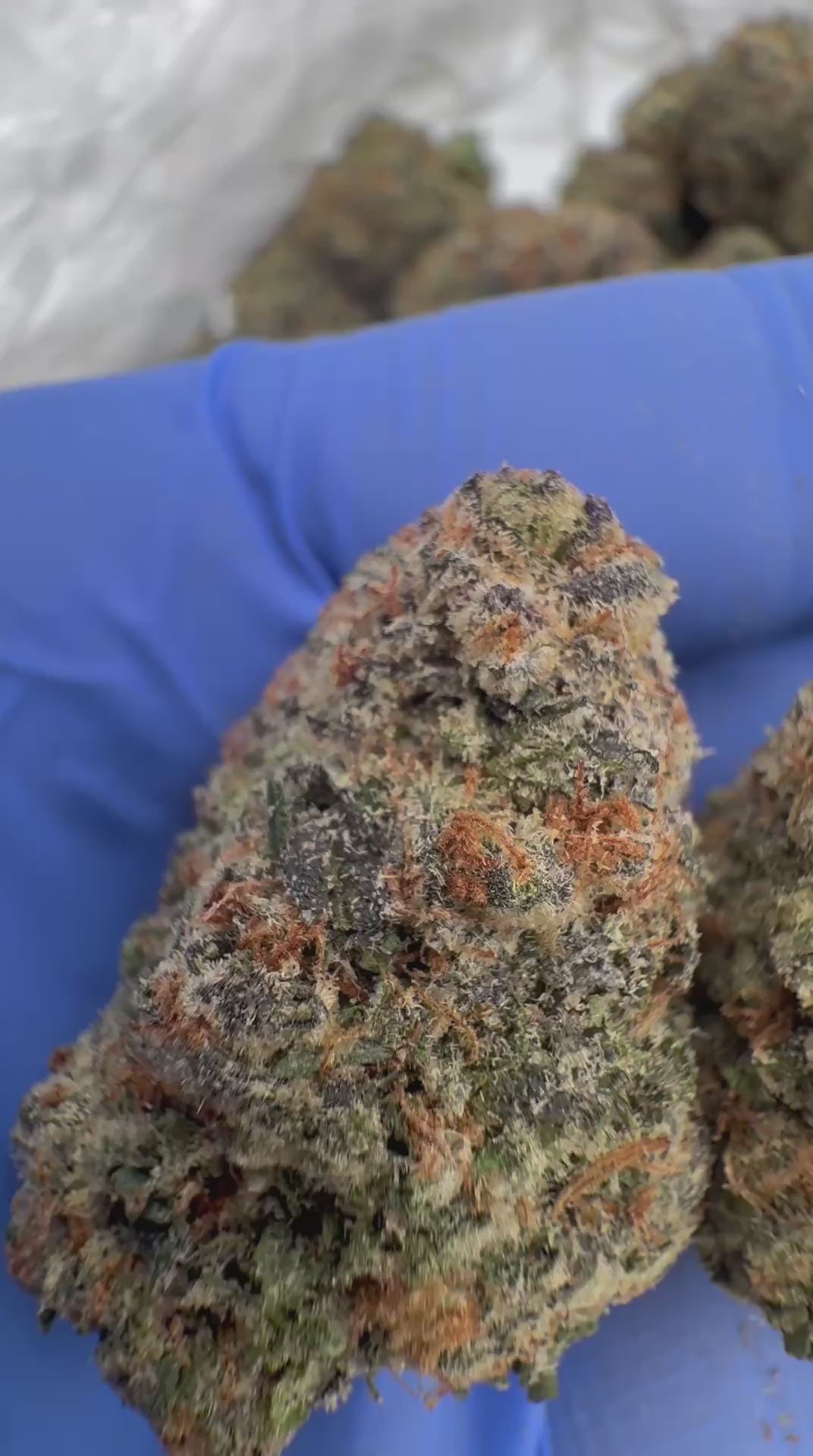 Cherry cosmo